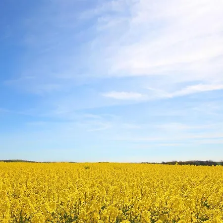Haus Blick Zur See Ferienwohnung 02 - Mit Sauna- Und Schwimmbadnutzung Im Ahoi Sellin * Goehren (Ruegen)